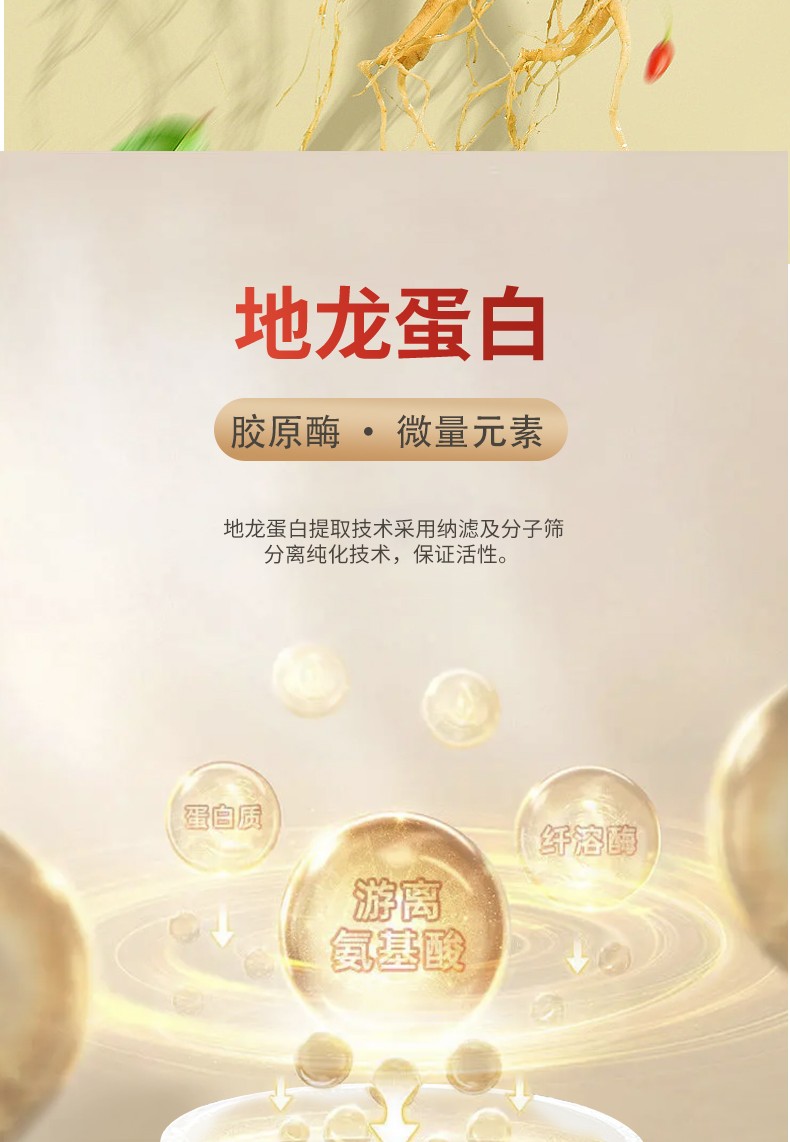 人参地龙压片糖果