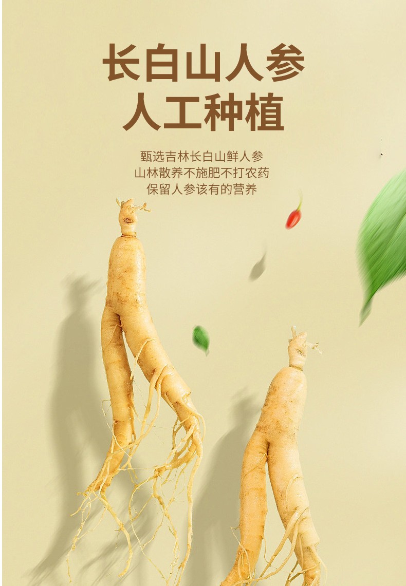 人参地龙压片糖果